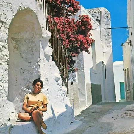 Kastro Astypalea Spitaki Holiday home *